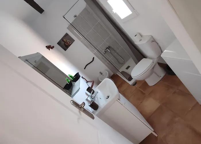 La Gata De *
