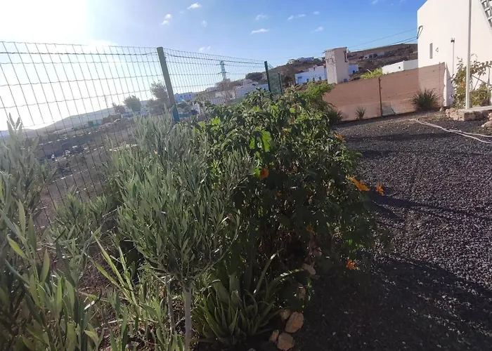 La Gata De Сasa de vacaciones *